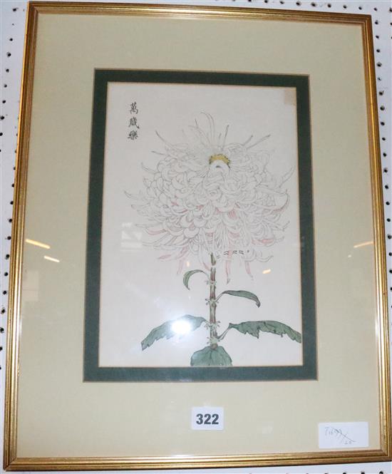 Japanese watercolour, Haseqawa Keika flower bloom 1893 woodblock print